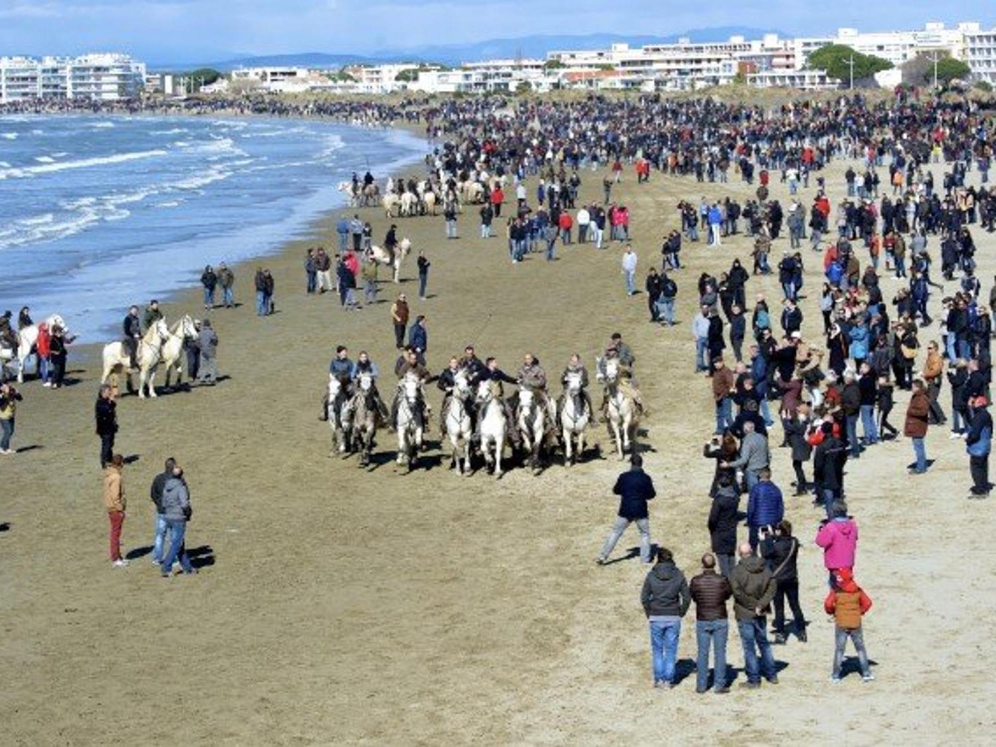 Maison P2 Mezzanine, Terrasse, Proche Plage Et Commerces, Parking Securise Au Grau-Du-Roi - Fr-1-307-142 Le Grau-du-Roi Kültér fotó
